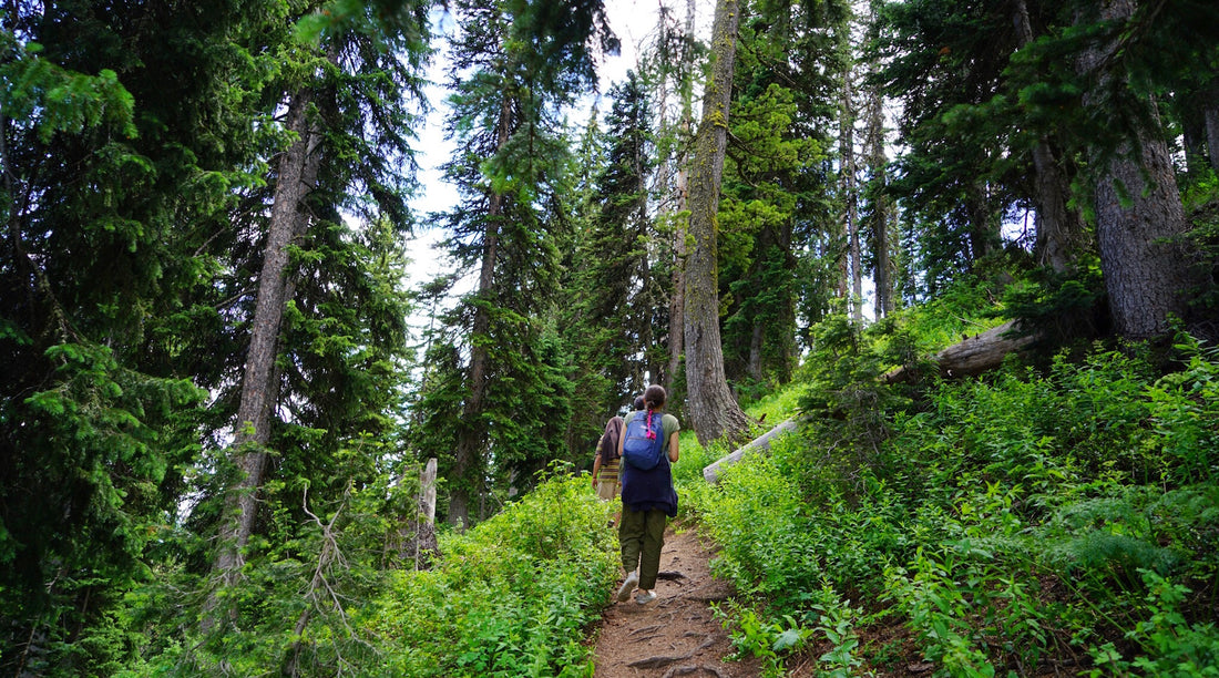 {GRAND TETONS} THE MAGIC OF THE WILDFLOWER TRAIL