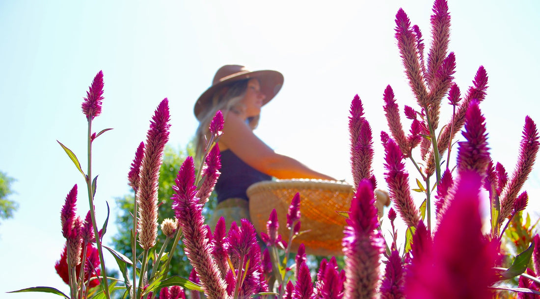 Growing a Garden in Your Heart