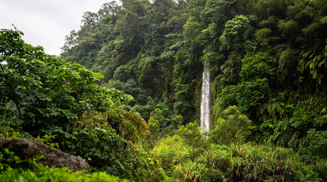 {TAIWAN} THE MAGIC OF CENTRAL TAIWAN