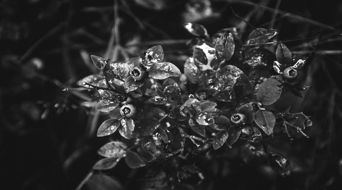 Getting Back to Nature