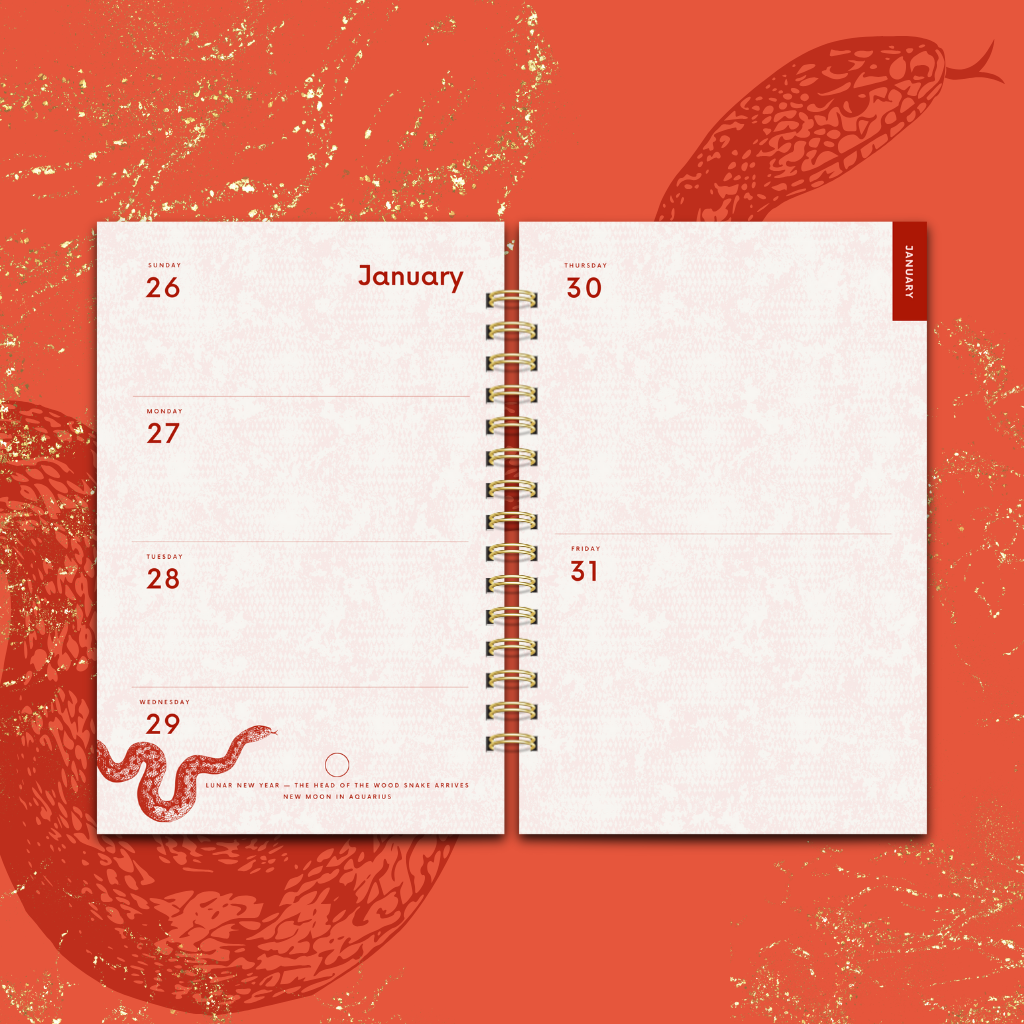 2025 Head of the Snake Planner & Journal