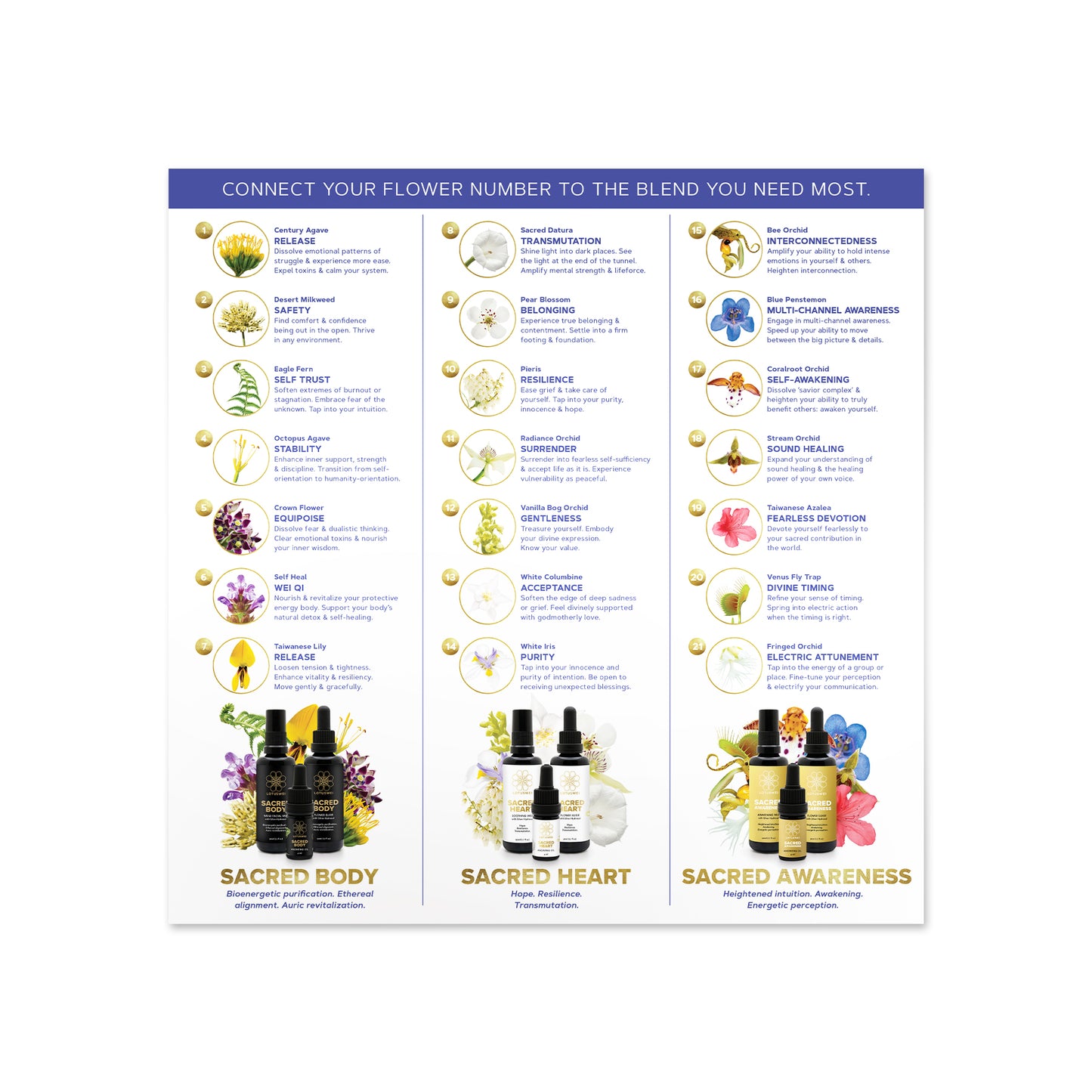 Pick a Flower Card for the Sacred Series