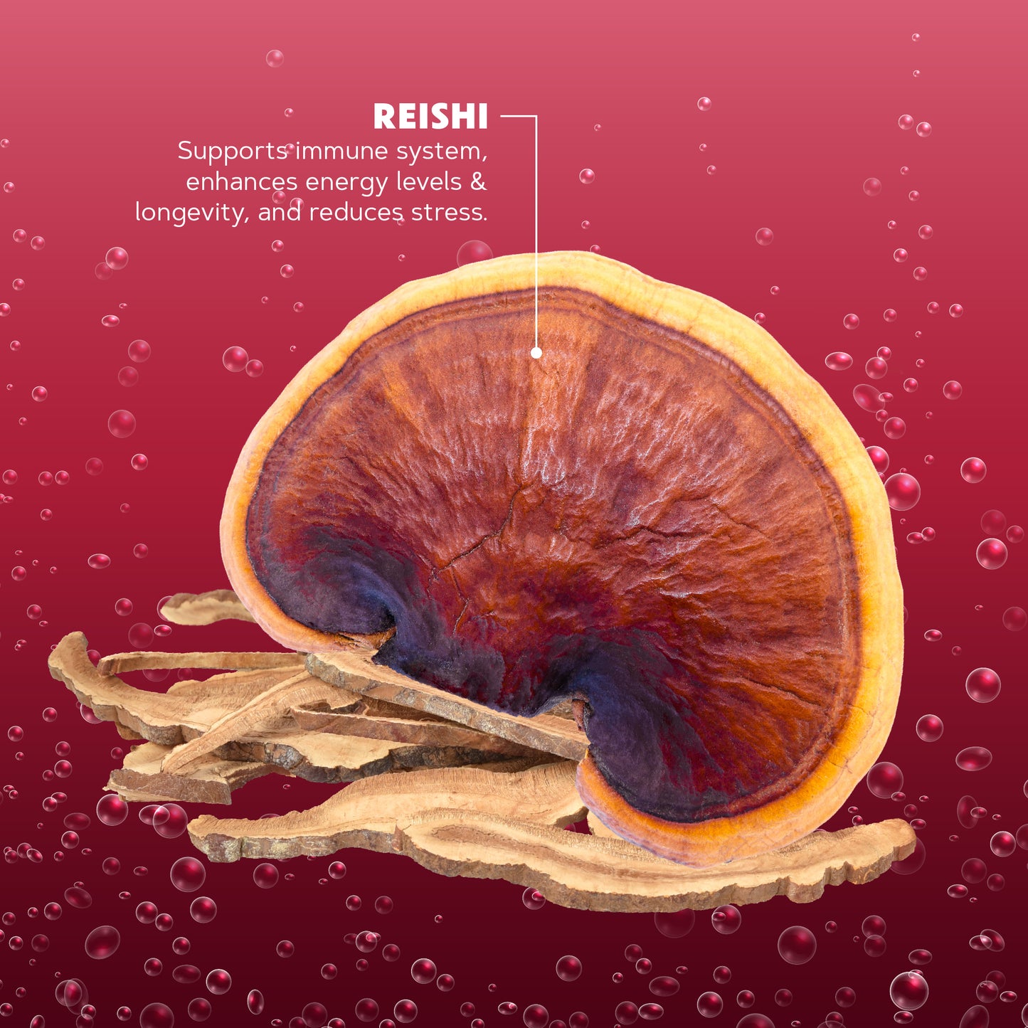 Cherry Cola Herbal Soda Concentrate