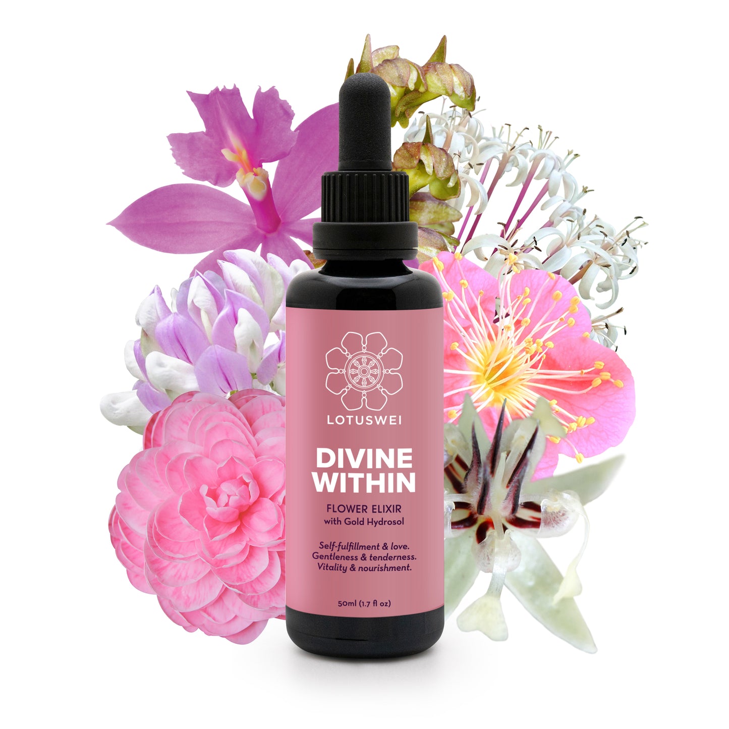 Divine Within