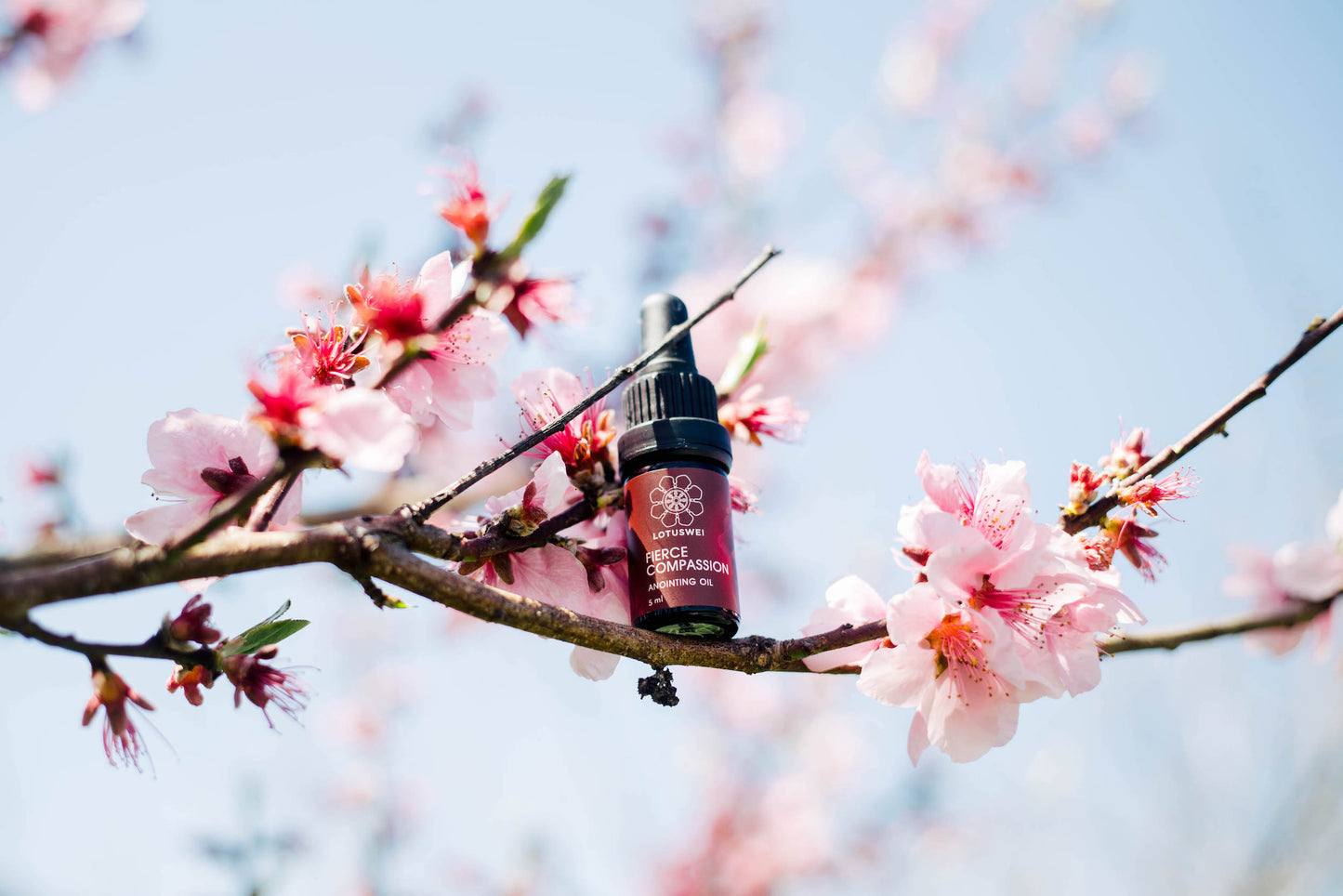 LOVE EVERYWHERE - ANOINTING OIL KIT