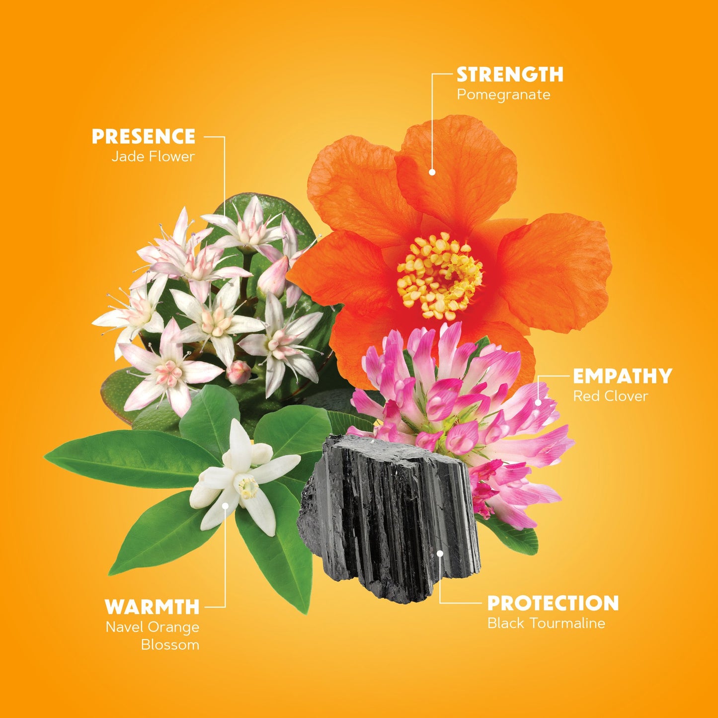 Stabilization Support Kit