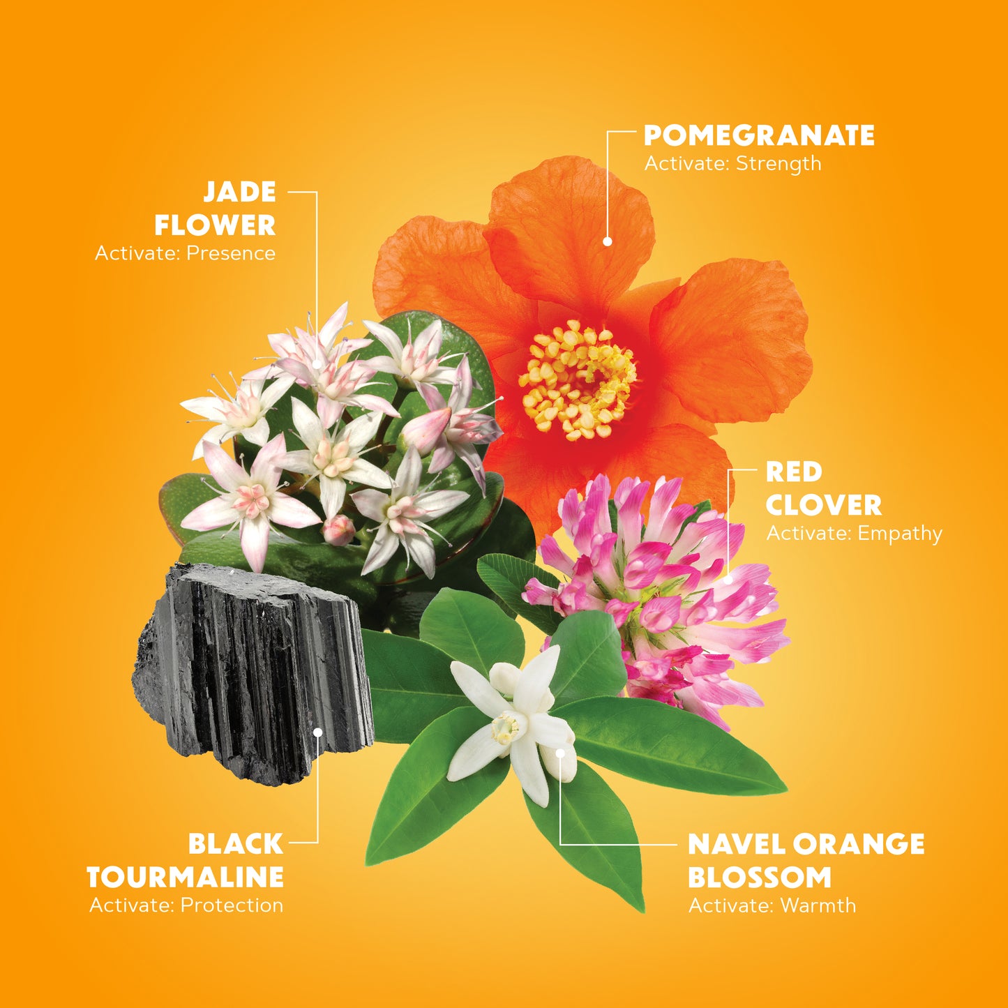 Radiant Energy Mist