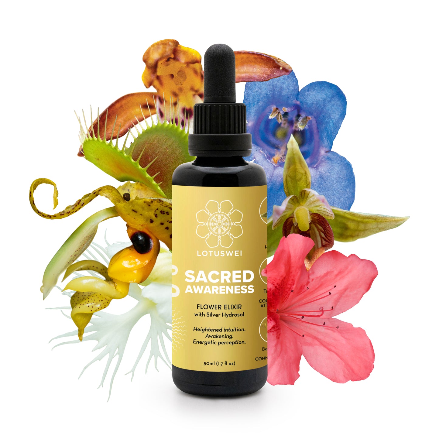 Sacred Awareness