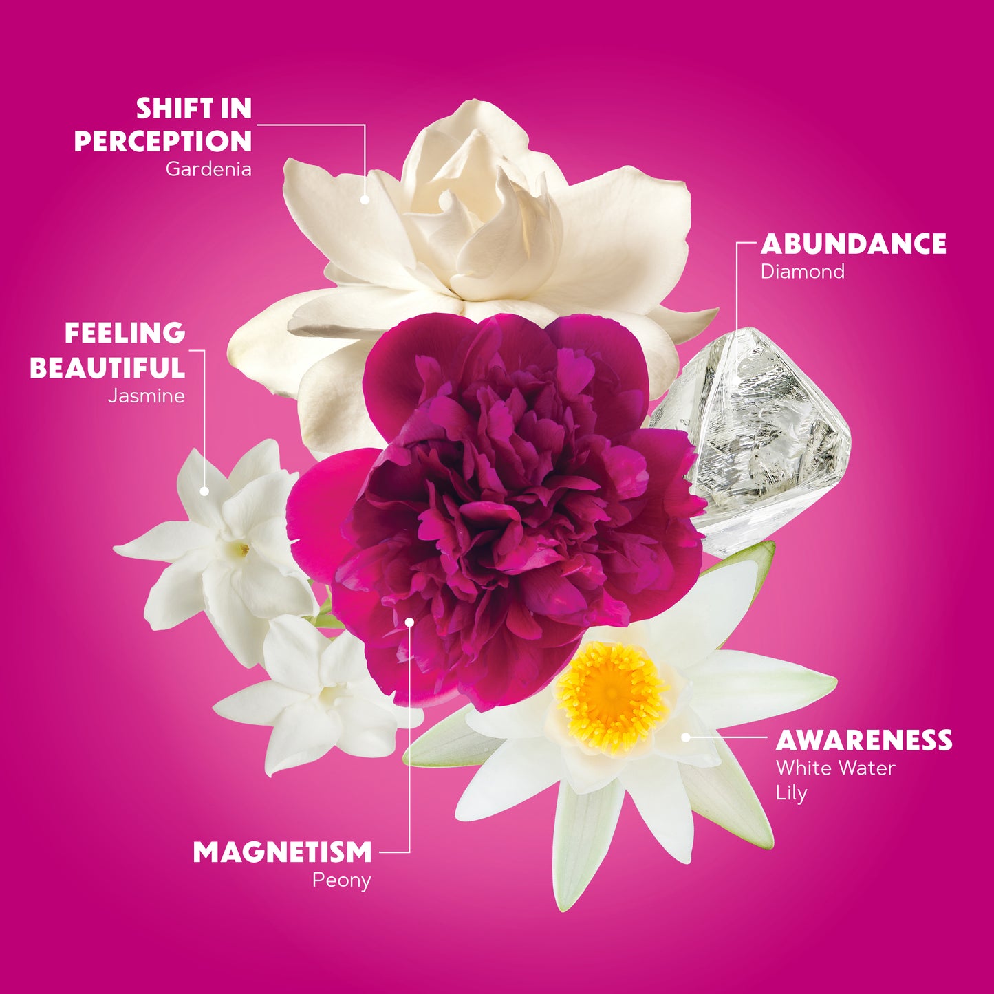 Wild Abundance Serum