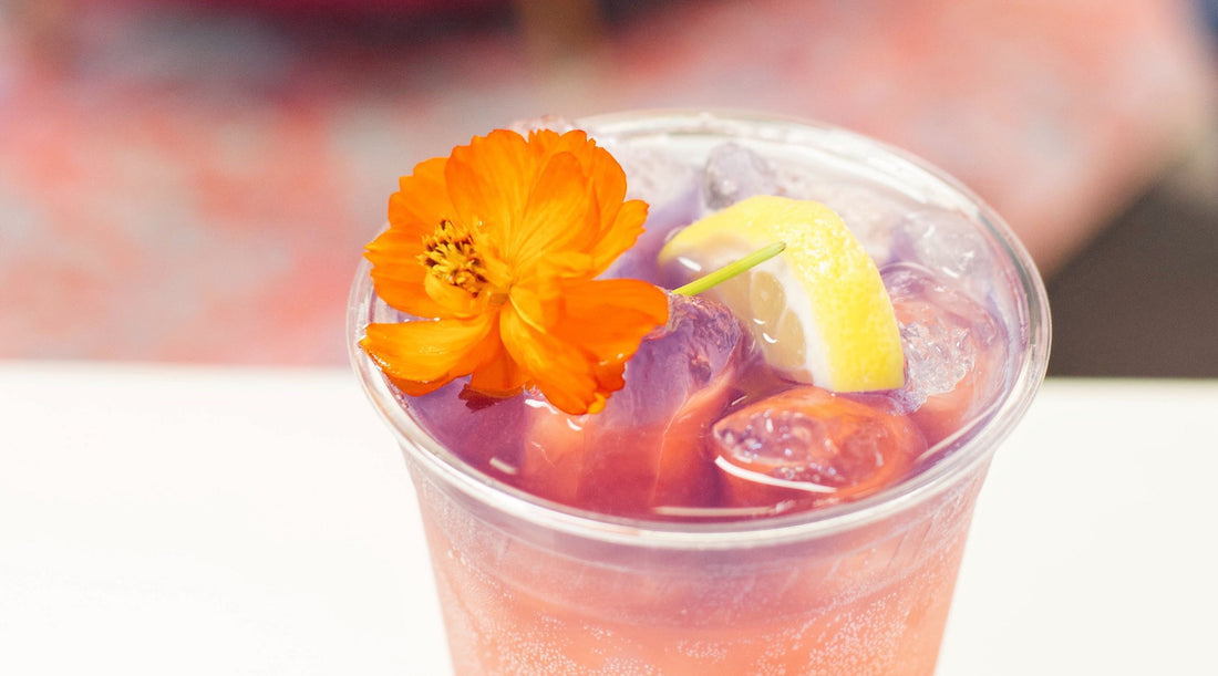 Sparkling Butterfly + Hibiscus Lemonade