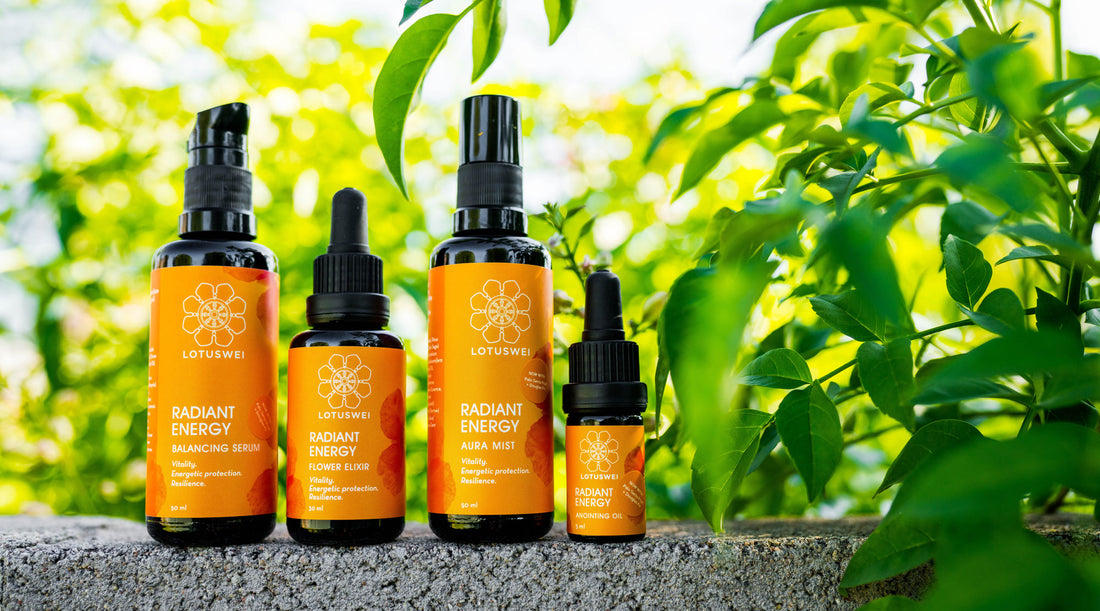 FLOWER ESSENCES IN RADIANT ENERGY