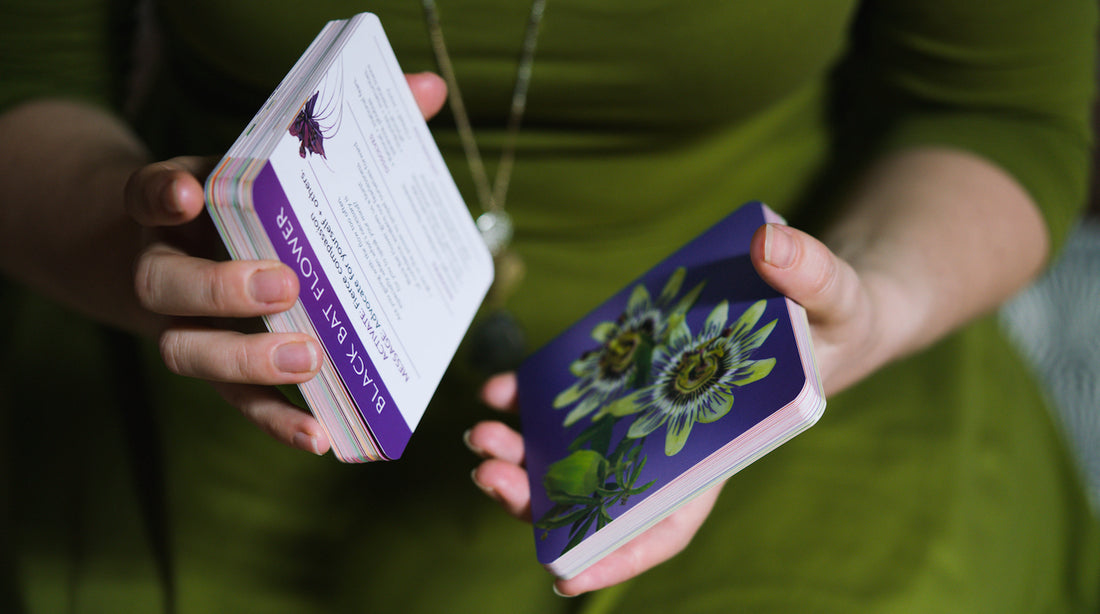 black bat flower flowerevolution card deck LOTUSWEI flower essences