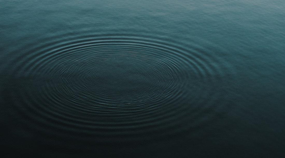 OPRAH'S ADAM GLASSMAN & THE RIPPLE EFFECT