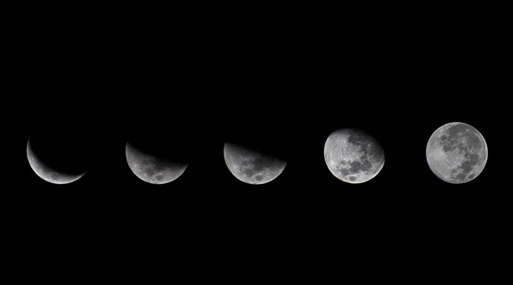 AUGUST 2018: Moonshine Lunar Forecast