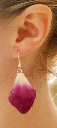 Purple Dendrobium Orchid Petal Earrings - Small