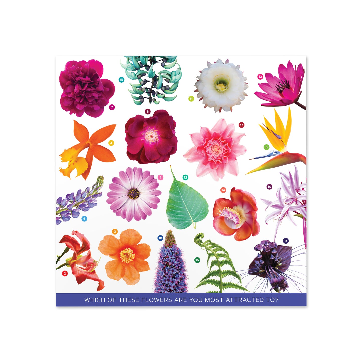 Pick a Flower Card for the 18 Catalyst Blends