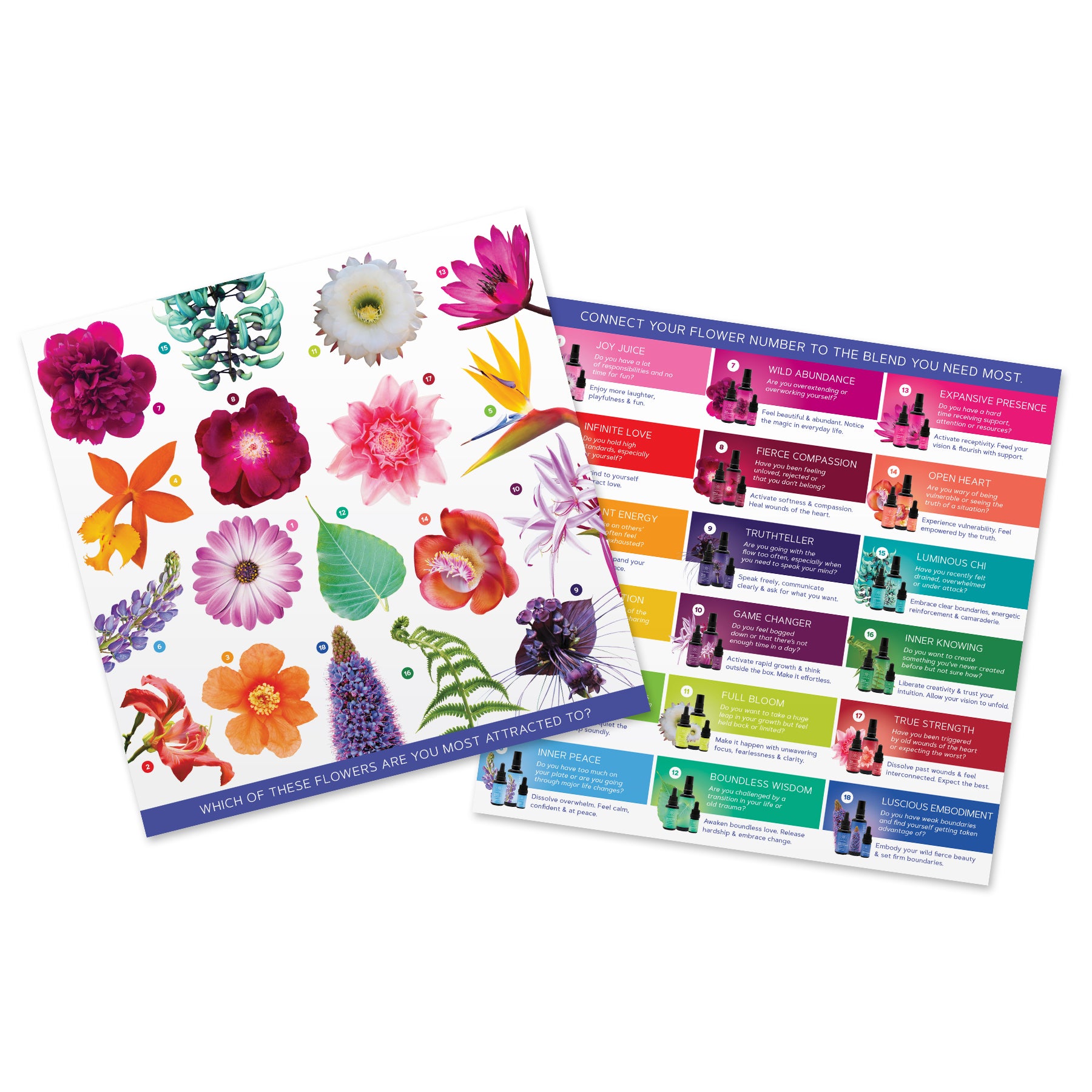 Pick a Flower Card for the 18 Catalyst Blends