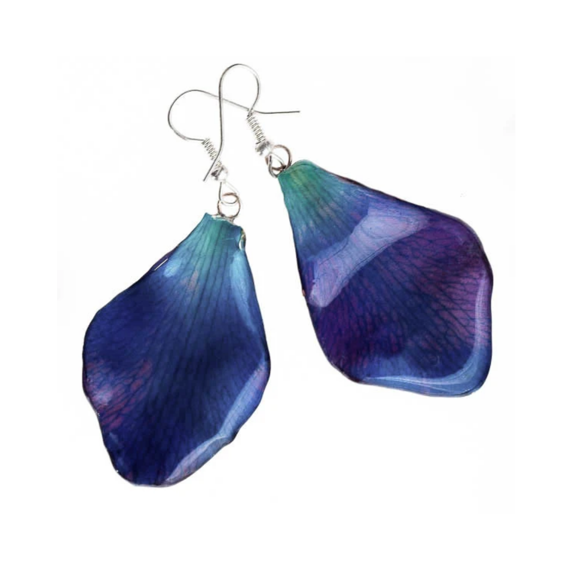 Dark Purple-Blue Dendrobium Orchid Petal Earrings - Medium