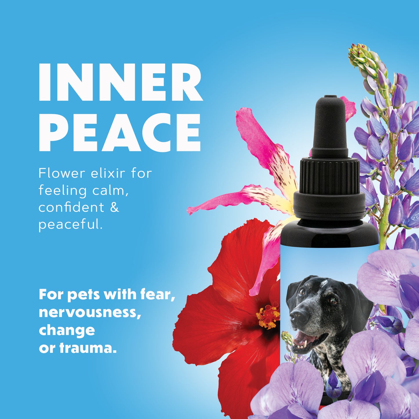 Inner Peace Pet Elixir