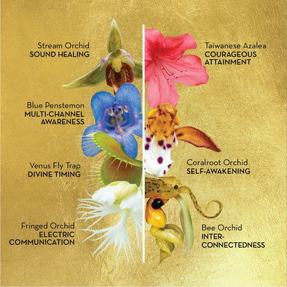Sacred Awareness