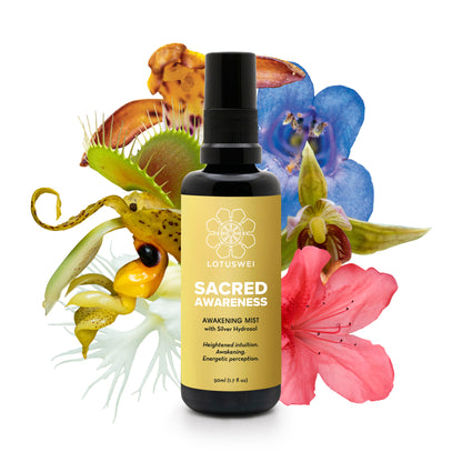 Sacred Awareness
